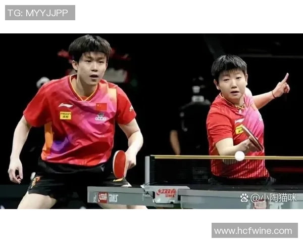 南京乒乓球队在世界杯预选赛中的状态分析与表现评估