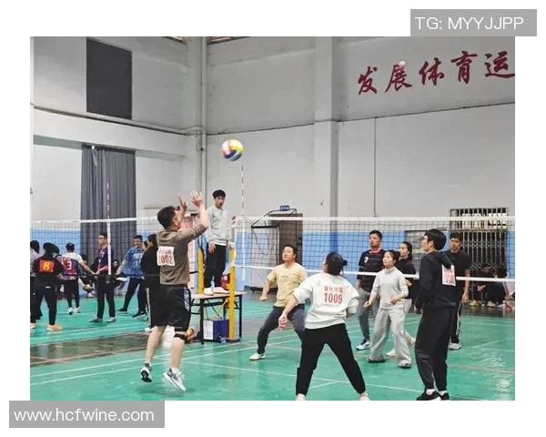 广州排球队最新排球比赛经验TOP10分享助力球队更上一层楼