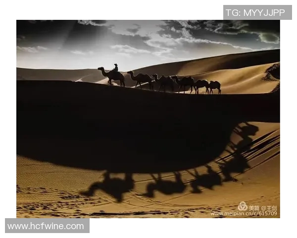 武汉足球队崛起之路欧锦赛背后的奋斗与荣耀