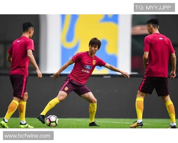 深圳排球队意识争议引发热议球迷与专家各执己见探讨球队未来发展