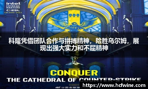 1xbet体育平台